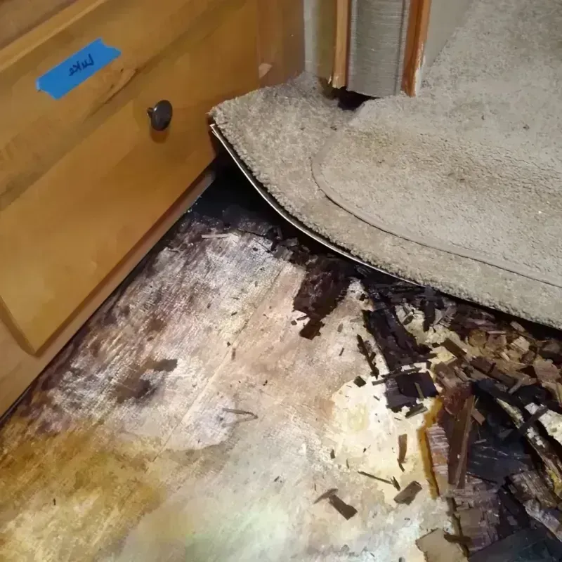 Wood Floor Water Damage in Delafield, WI